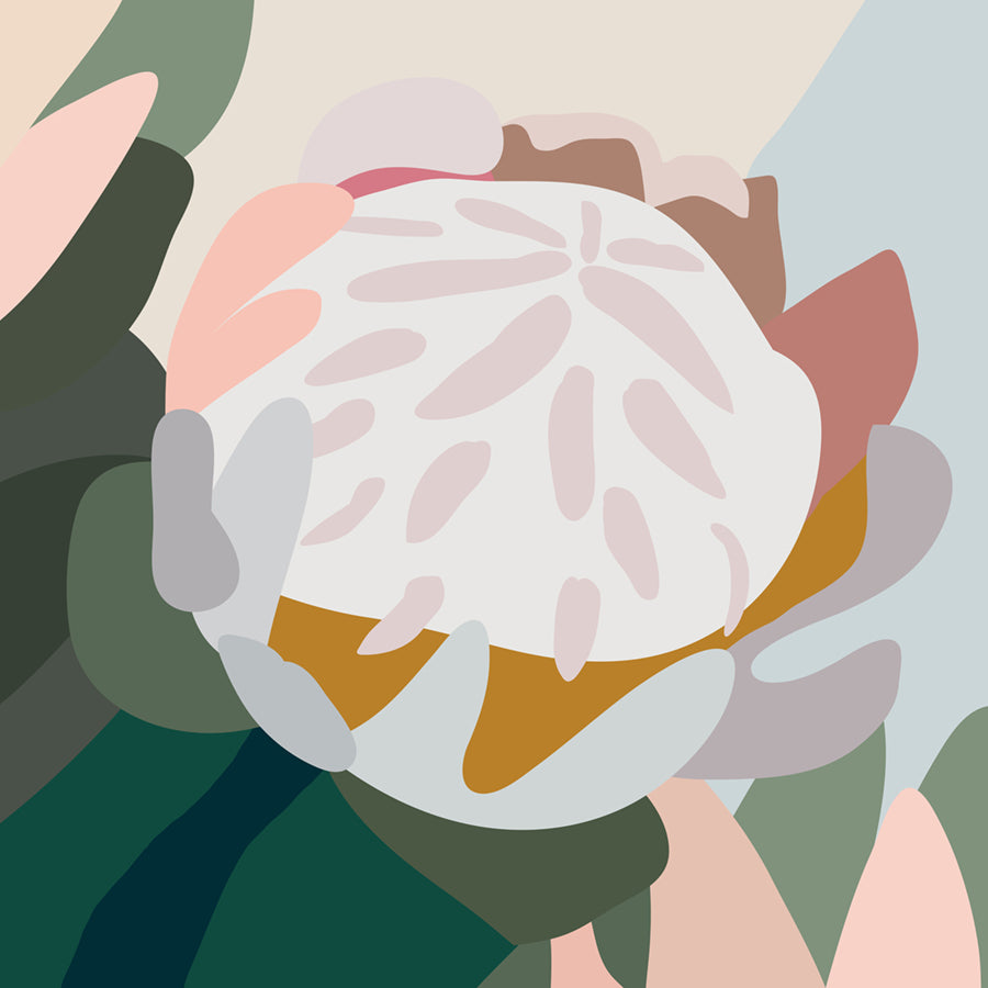 Blush V