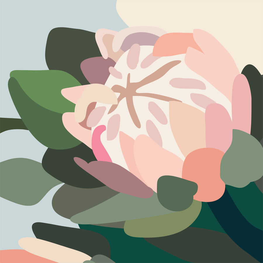Blush III